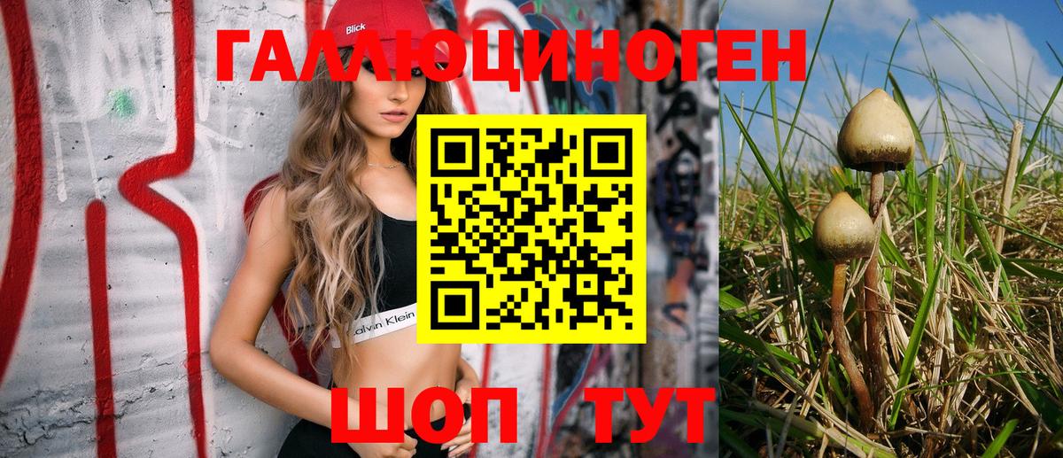 Псилоцибиновые грибы GOLDEN TEACHER Карасук