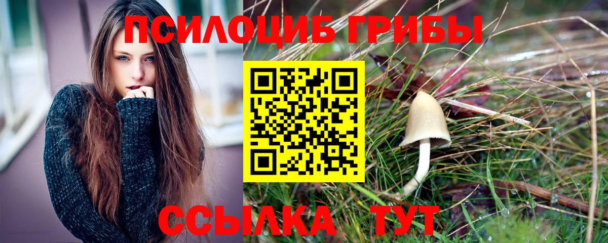 Псилоцибиновые грибы Psilocybine cubensis  Вход с VPN  Карасук 